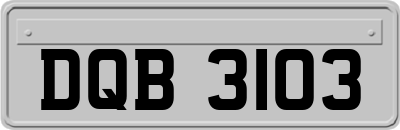 DQB3103