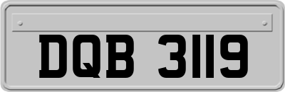 DQB3119