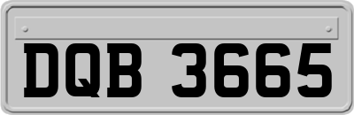 DQB3665