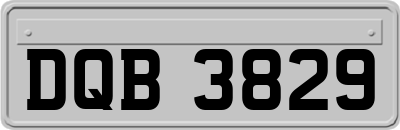 DQB3829