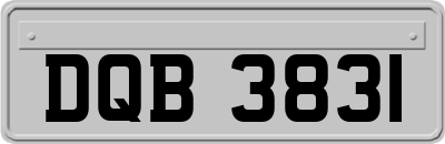 DQB3831