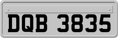 DQB3835