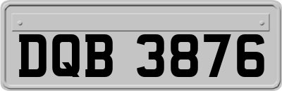 DQB3876