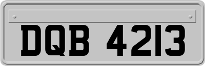 DQB4213