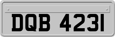 DQB4231