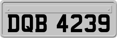 DQB4239