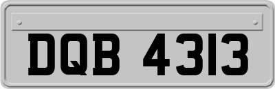 DQB4313