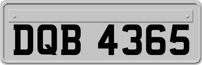 DQB4365