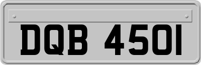 DQB4501