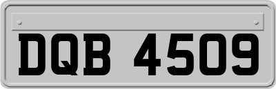 DQB4509