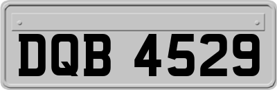 DQB4529