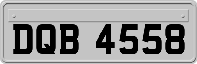 DQB4558