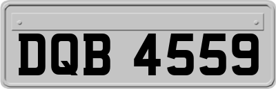 DQB4559