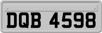 DQB4598