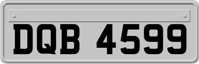 DQB4599