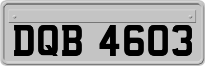 DQB4603