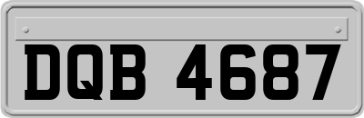 DQB4687