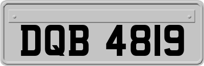 DQB4819