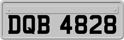 DQB4828