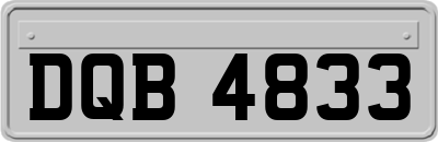 DQB4833