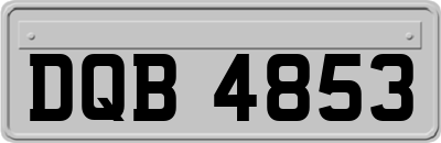 DQB4853