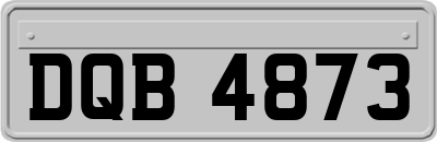 DQB4873