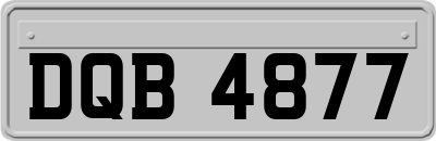 DQB4877