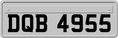 DQB4955