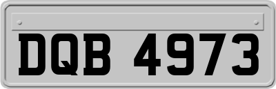 DQB4973