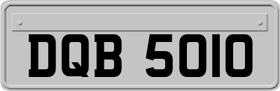 DQB5010