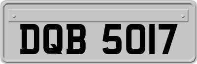 DQB5017