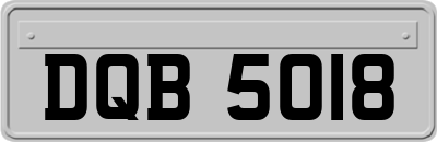 DQB5018