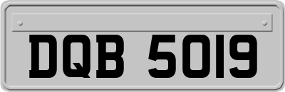 DQB5019