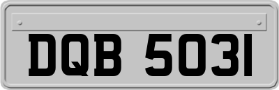 DQB5031