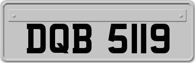 DQB5119