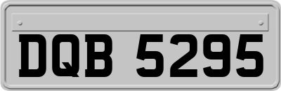 DQB5295