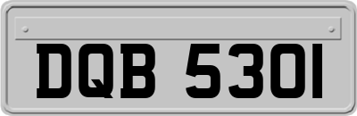 DQB5301