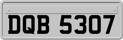 DQB5307