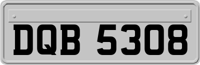 DQB5308