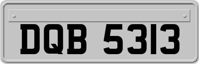 DQB5313