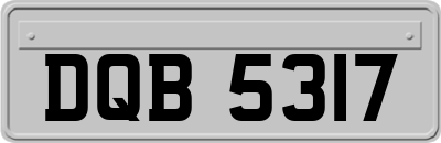 DQB5317