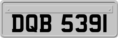 DQB5391