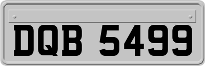 DQB5499