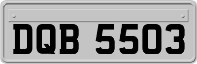 DQB5503