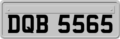 DQB5565