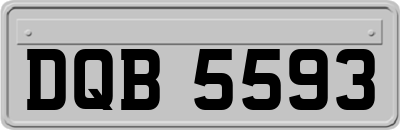 DQB5593