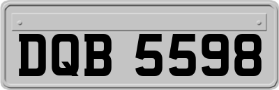 DQB5598