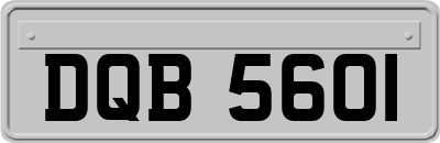 DQB5601