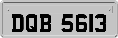 DQB5613