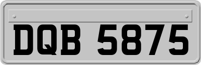 DQB5875